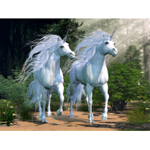 Белые единороги. Сказочный лес