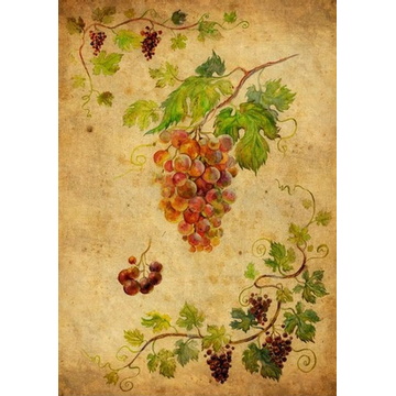 Фреска для кухни с виноградом.
