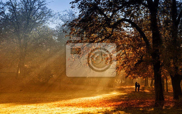 Фотообои - Солнечный свет в лесу артикул 10000128