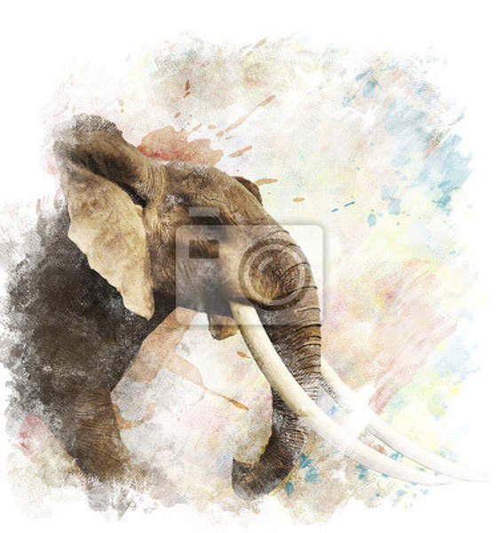 Фотообои с нарисованным слоном артикул 10007153