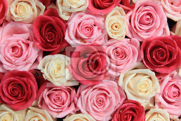 Фотообои с белыми и розовыми розами артикул 10000164