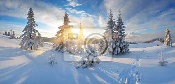 Фотообои - Зима артикул 10007224
