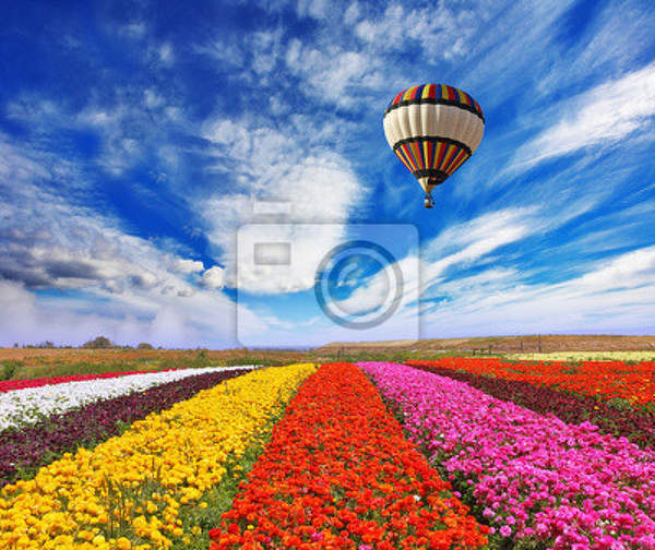 Фотообои - Над цветочным полем артикул 10007302