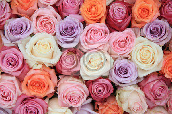 Фотообои с композицией из разноцветных роз артикул 10000173