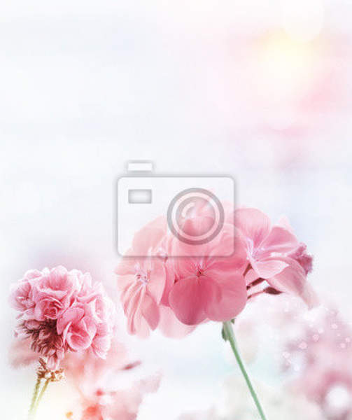 Фотообои - Розовая герань артикул 10007149