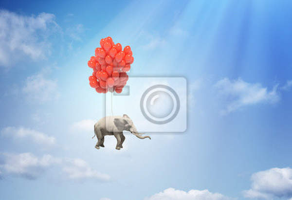 Фотообои - Слон на воздушных шариках артикул 10007141