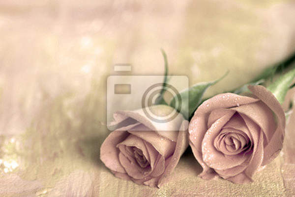 Фотообои с двумя розами артикул 10000158