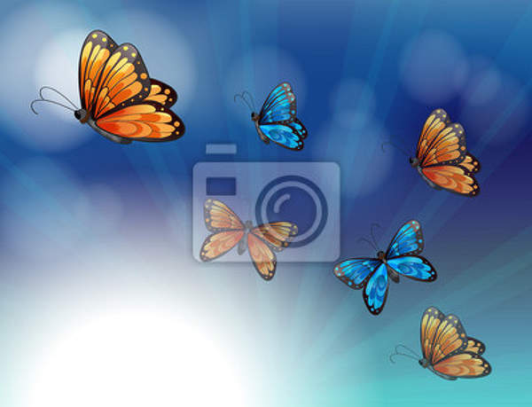 Фотообои с разноцветными бабочками артикул 10000247