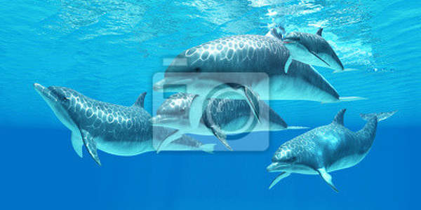 Арт-обои с дельфинами артикул 10007140