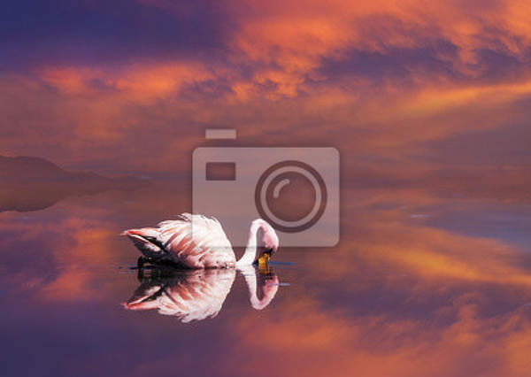 Фотообои с фламинго на закате артикул 10000058