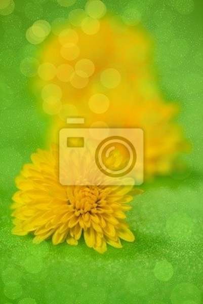 Фотообои с желтыми одуванчиками в зелени артикул 10000340