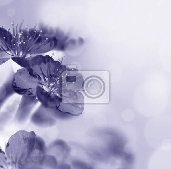 Фотообои - Макро цветок артикул 10007570
