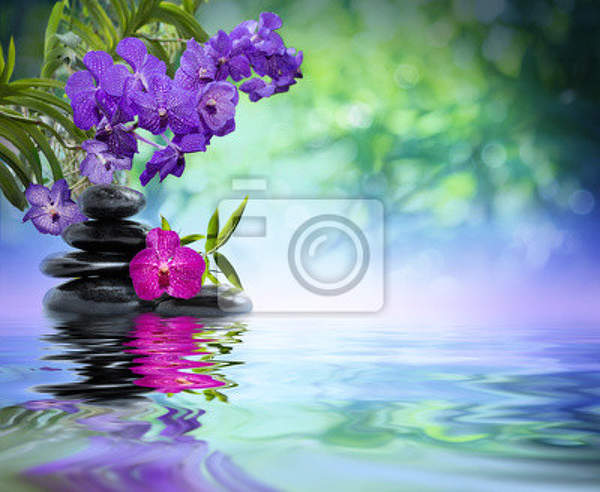 Фотообои - Фиолетовая орхидея над водой артикул 10007394