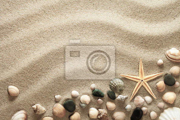 Фотообои - Песок и ракушки артикул 10007177