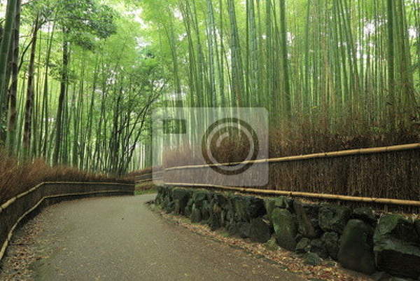 Фотообои с бамбуковой рощей в Японии артикул 10000135