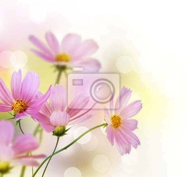 Фотообои с розовыми цветочками артикул 10007382