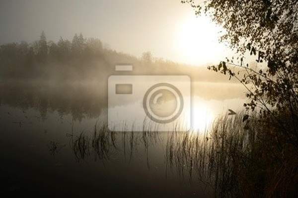 Фотообои - Утренний туман на озере артикул 10001156