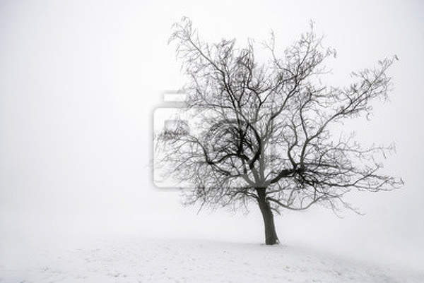 Фотообои с деревом в тумане артикул 10001232