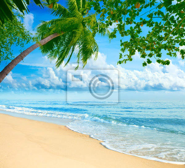 Фотообои на стену - Райский пляж с пальмами артикул 10001230