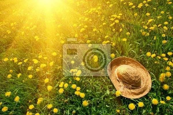 Фотообои с лучами солнца на зеленой траве и соломенной шляпой артикул 10001247