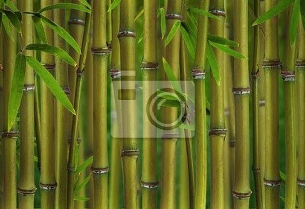 Фотообои - Бамбуковый лес артикул 10001090