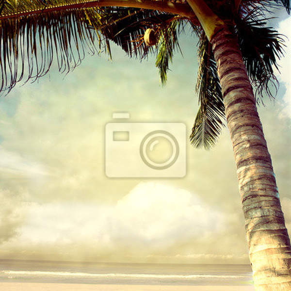 Фотообои - Винтажный пейзаж с пальмой артикул 10000988