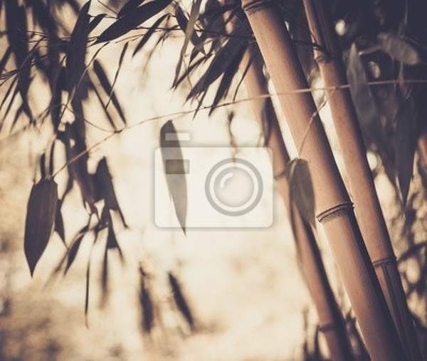 Фотообои на стену с бамбуком в ретро стиле артикул 10001140