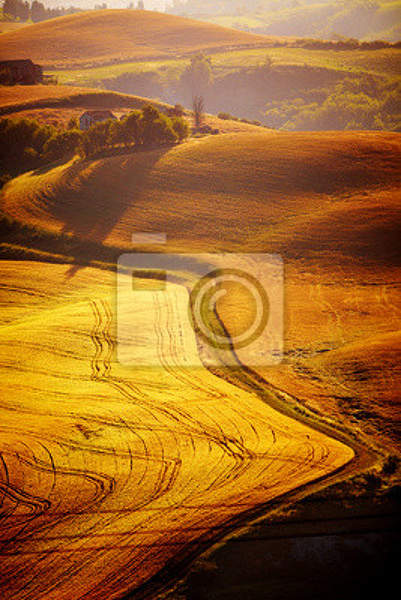 Фотообои с полем в Тоскане артикул 10001152