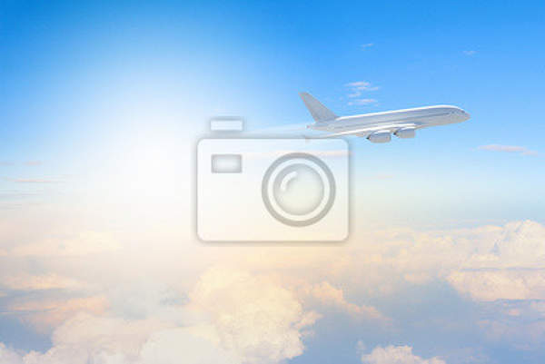 Фотообои на стену - Самолет в полете артикул 10001131