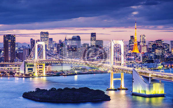 Фотообои на стену с мостом (Токийский Залив) артикул 10001290