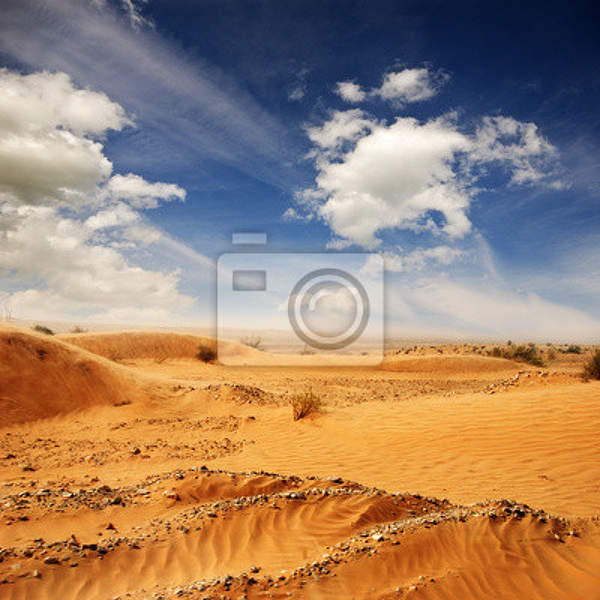 Фотообои с пустыней Сахара артикул 10000524