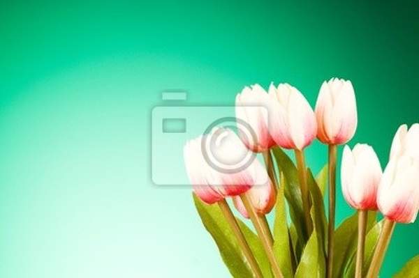 Фотообои с букетом тюльпанов артикул 10000798