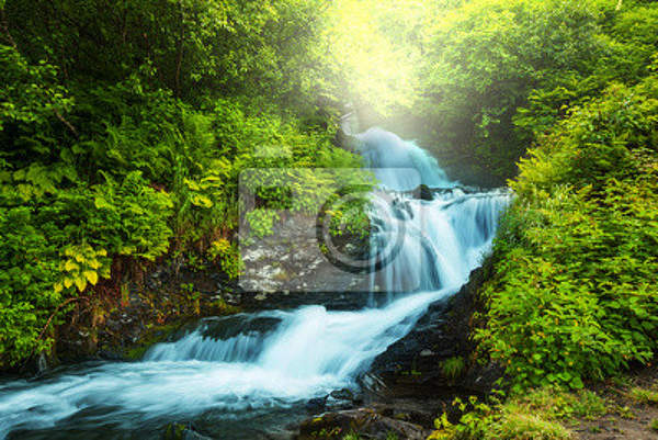 Фотообои с живописным водопадом в лесу артикул 10001011