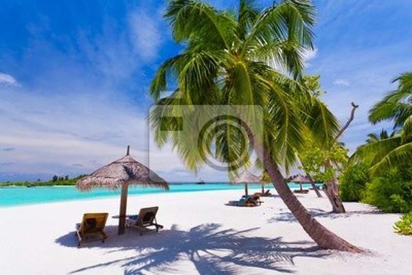 Фотообои с пальмой на тропическом пляже артикул 10000690