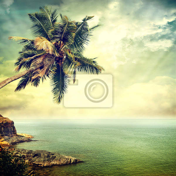 Фотообои в ретро стиле с пальмой и морем артикул 10001105