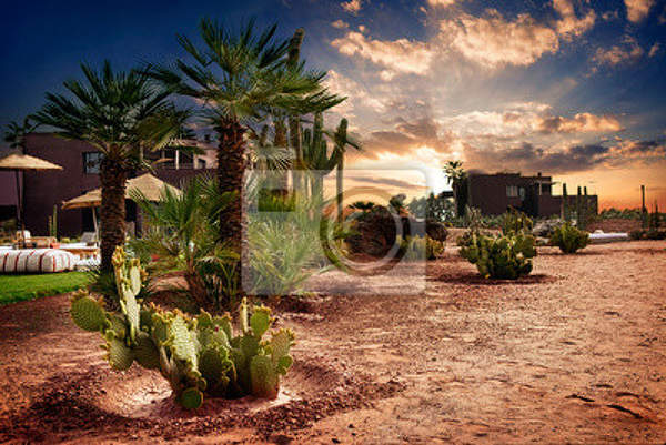 Фотообои - Оазис в Марокко артикул 10000542