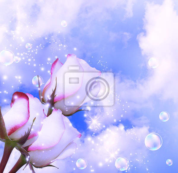 Фотообои с белыми розами на фоне облаков артикул 10000570