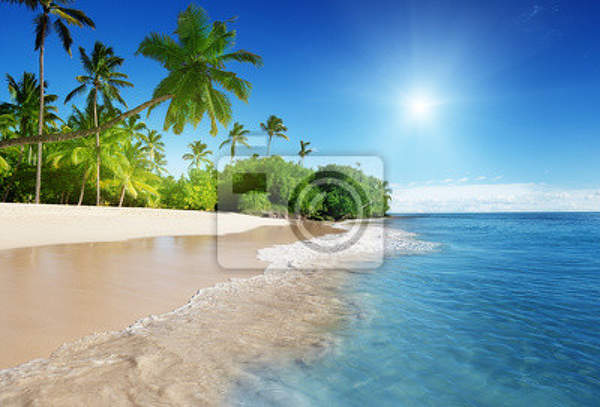 Фотообои - Пляж Карибского моря артикул 10001529