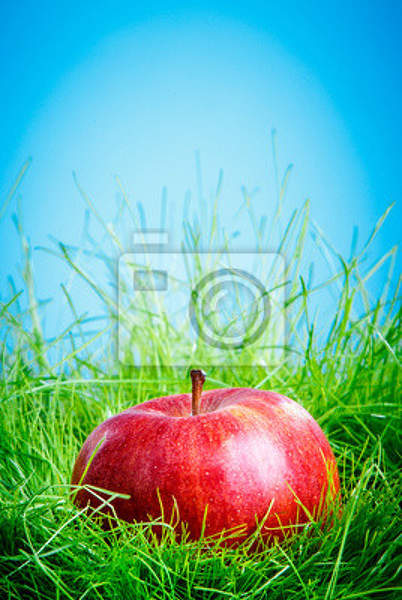 Фотообои с яблоком в траве артикул 10002015
