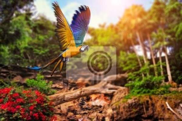 Фотообои с пейзажем и красивым попугаем артикул 10001673