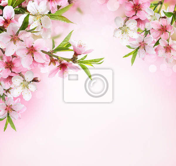 Фотообои с цветущей ветвью персика артикул 10001779