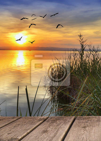 Фотообои с закатом на озере артикул 10002002