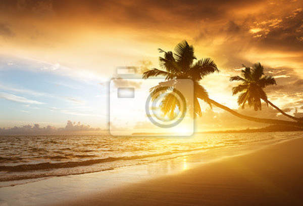 Фотообои с карибским пляжем на закате артикул 10001947