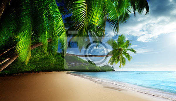 Фотообои на стену - Пальмы и пляж артикул 10001525