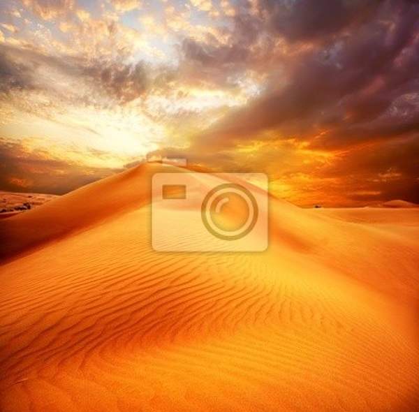 Фотообои с пустыней артикул 10001421