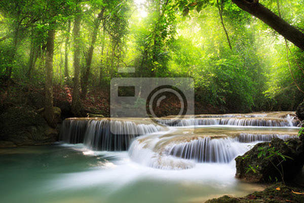 Фотообои с лесным водопадом (пейзаж) артикул 10001791