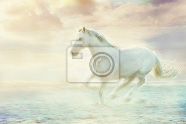 Фотообои на стену с белой лошадью в тумане артикул 10001831