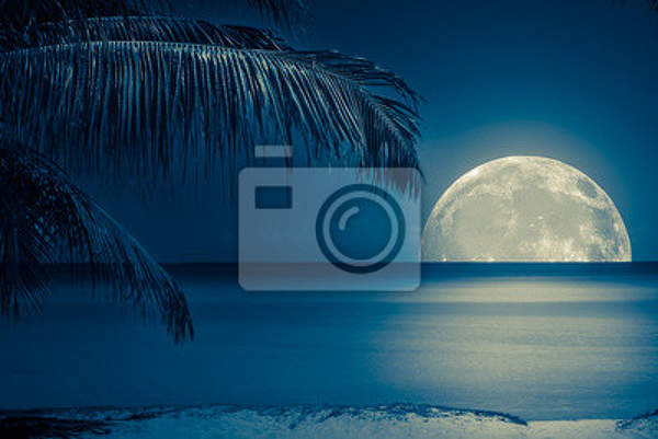 Фотообои с пейзажем - Тропическая луна артикул 10001803