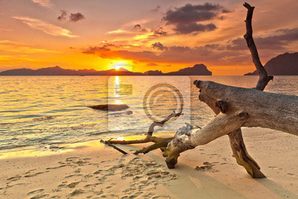 Фотообои с закатом на пляже артикул 10001714