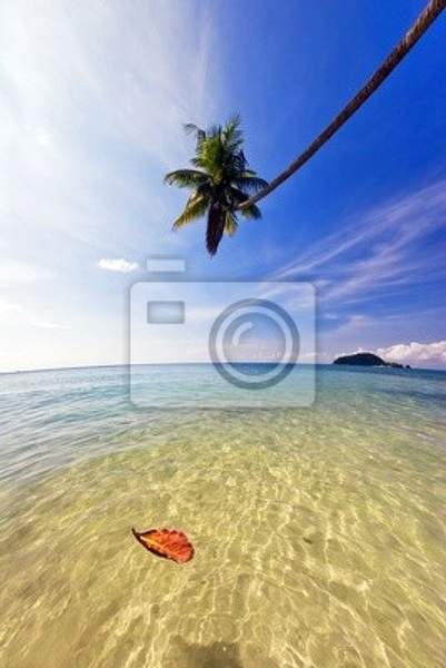 Фотообои с экзотическим тропическим пляжем артикул 10001726